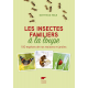 Les insectes familiers à la loupe