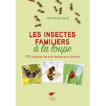 Les insectes familiers à la loupe