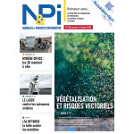 N&Pi Dom-Tom