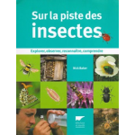 Sur la piste des insectes