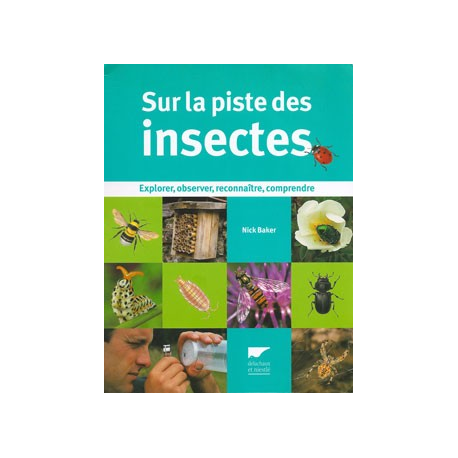 Sur la piste des insectes