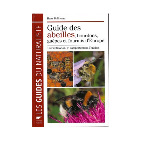 Guide des abeilles, guêpes, bourdons et fourmis d'Europe