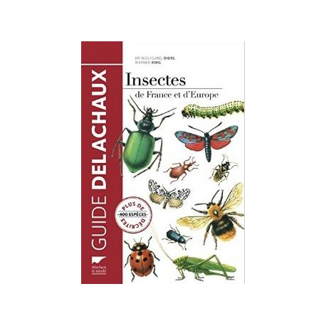 Insectes de France et d'Europe