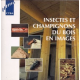 Photos d'insectes xylophages