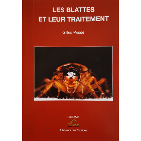 Les blattes et leur traitement